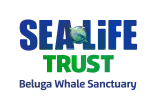 Sea Life Trust - Beluga Whale Sanctuary