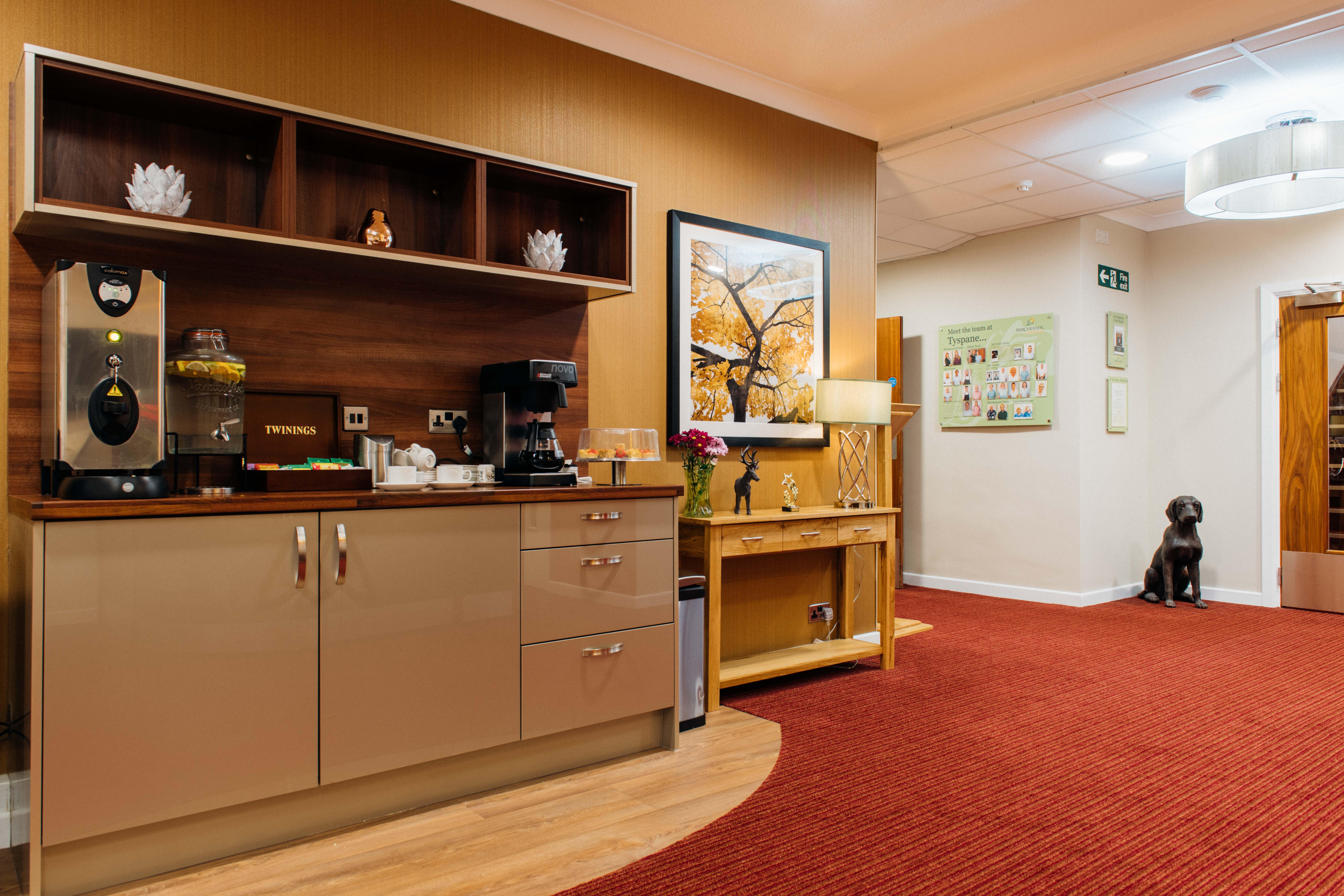 Tyspane Care Home Gallery