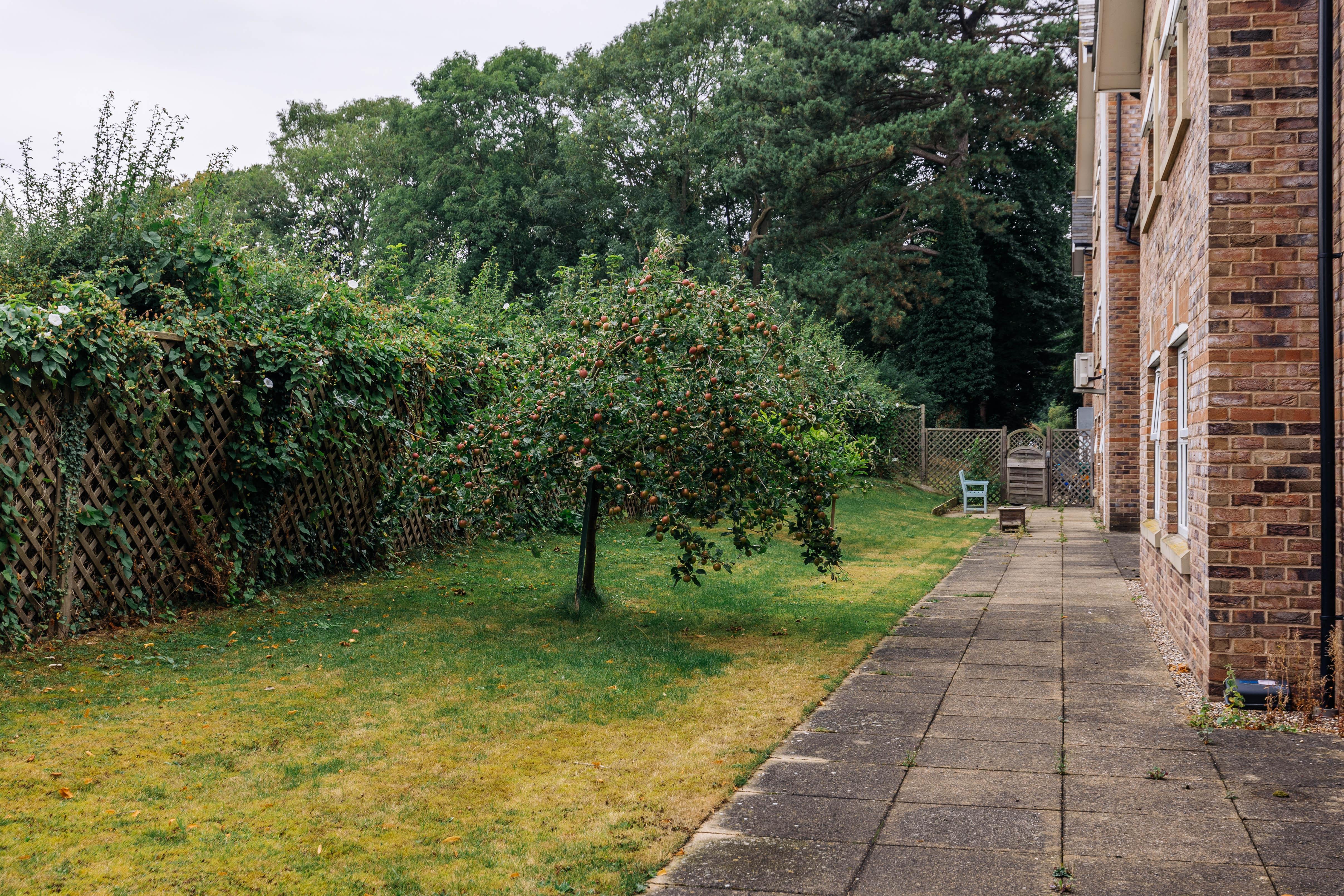 Boroughbridge Manor Care Home Gallery
