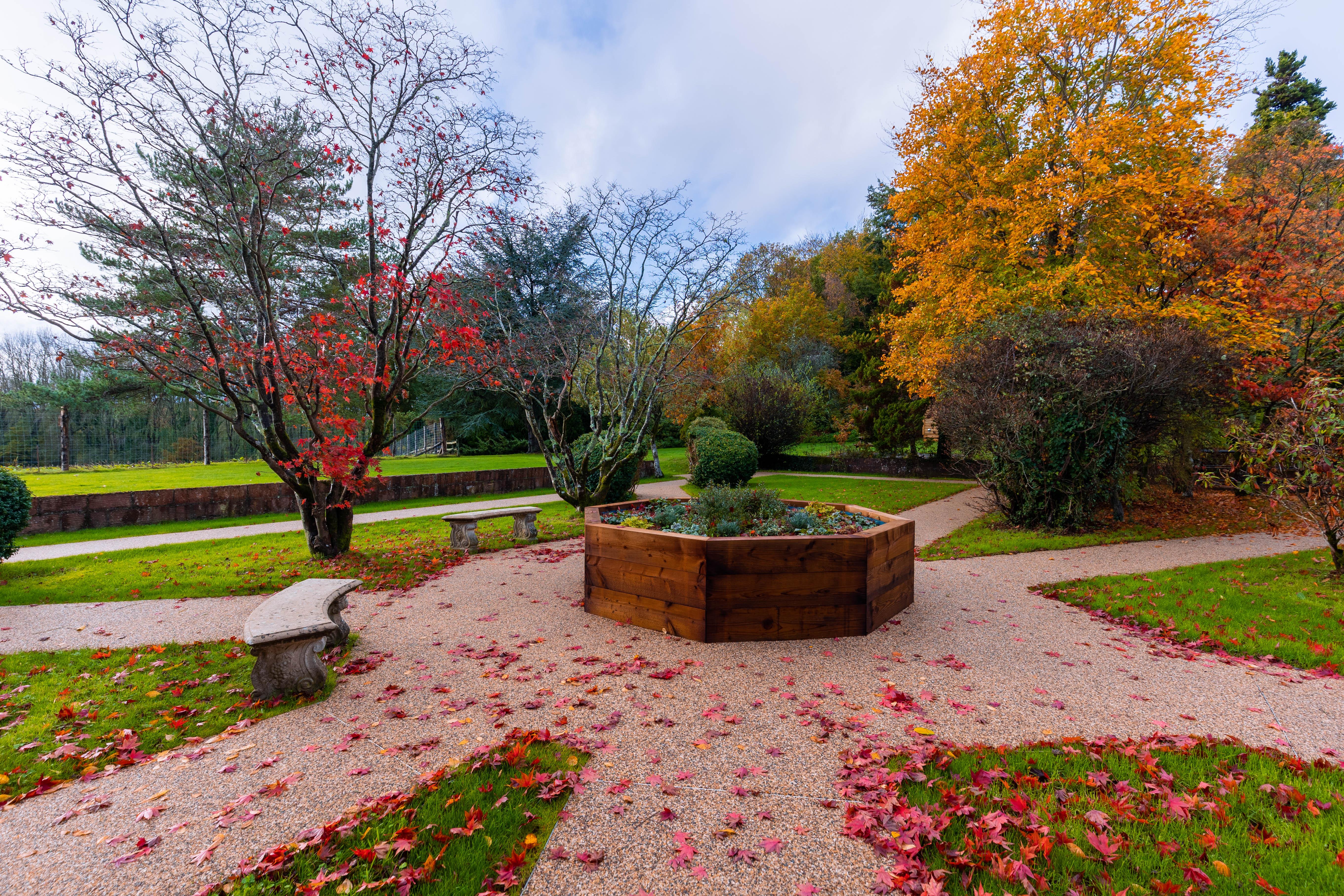 The Cedars Care Home Gallery
