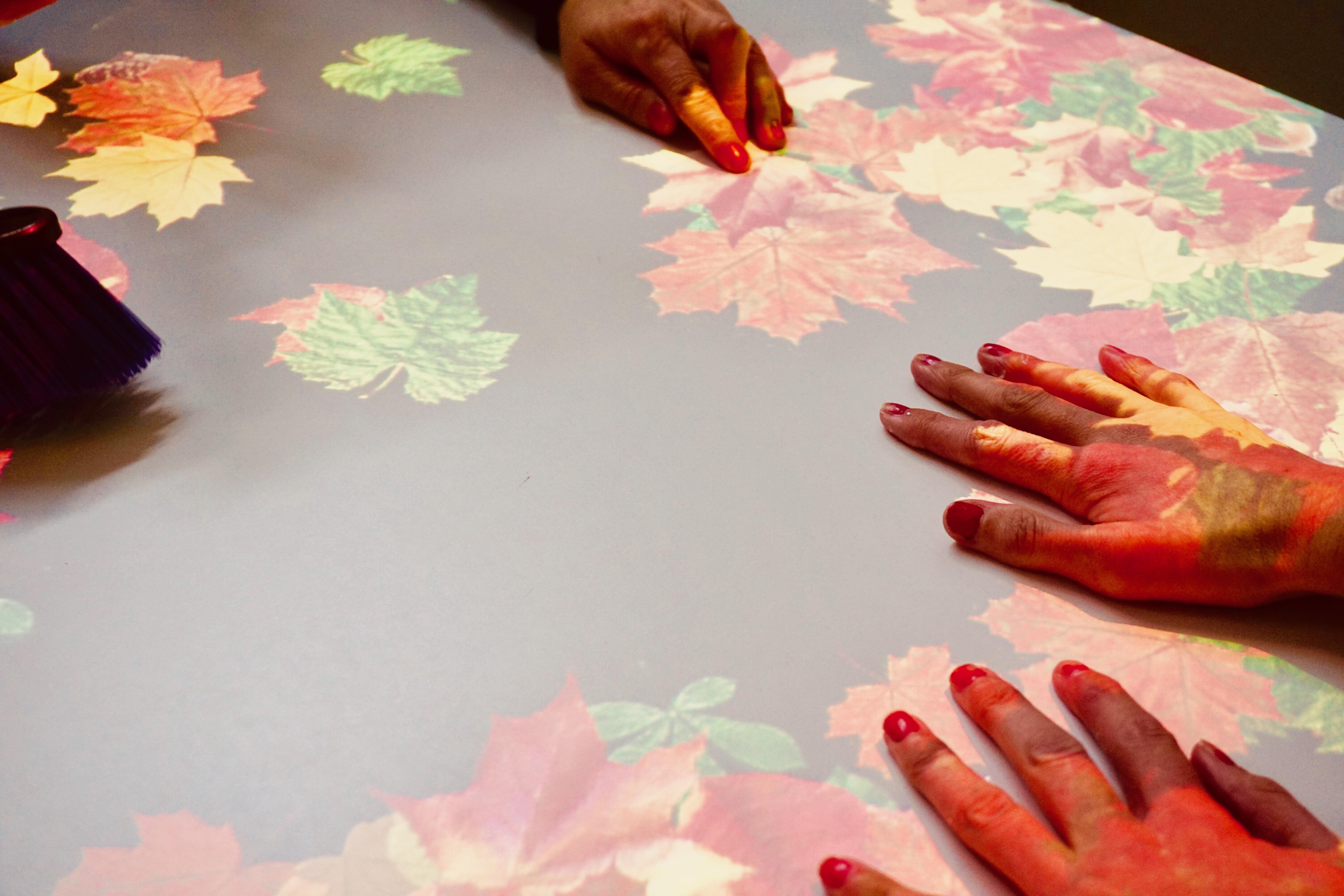 Hampton Grove Care Home Gallery
