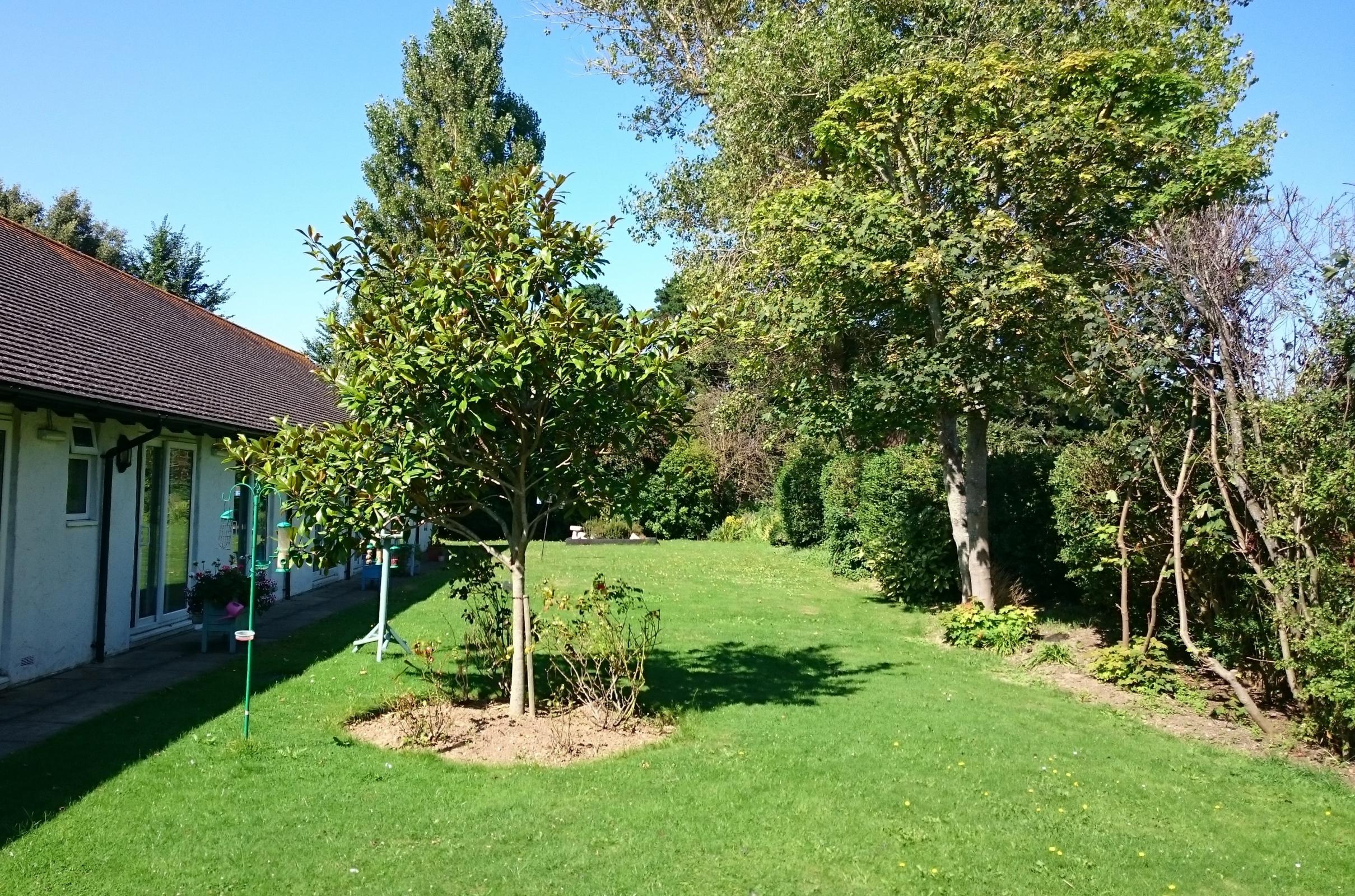 Wimborne Care Home Gallery
