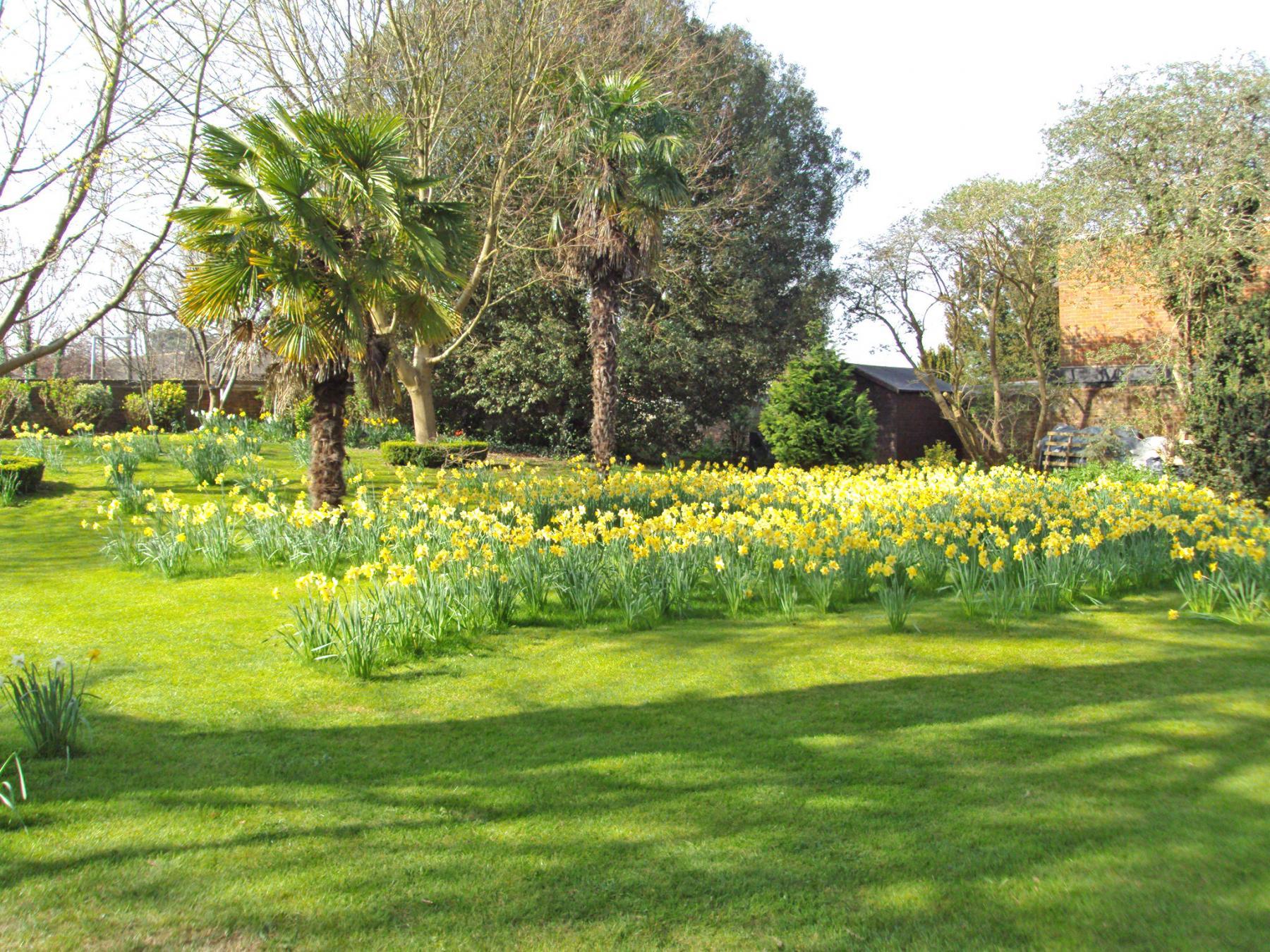 Care homes and elderly care from Barchester Healthcare
