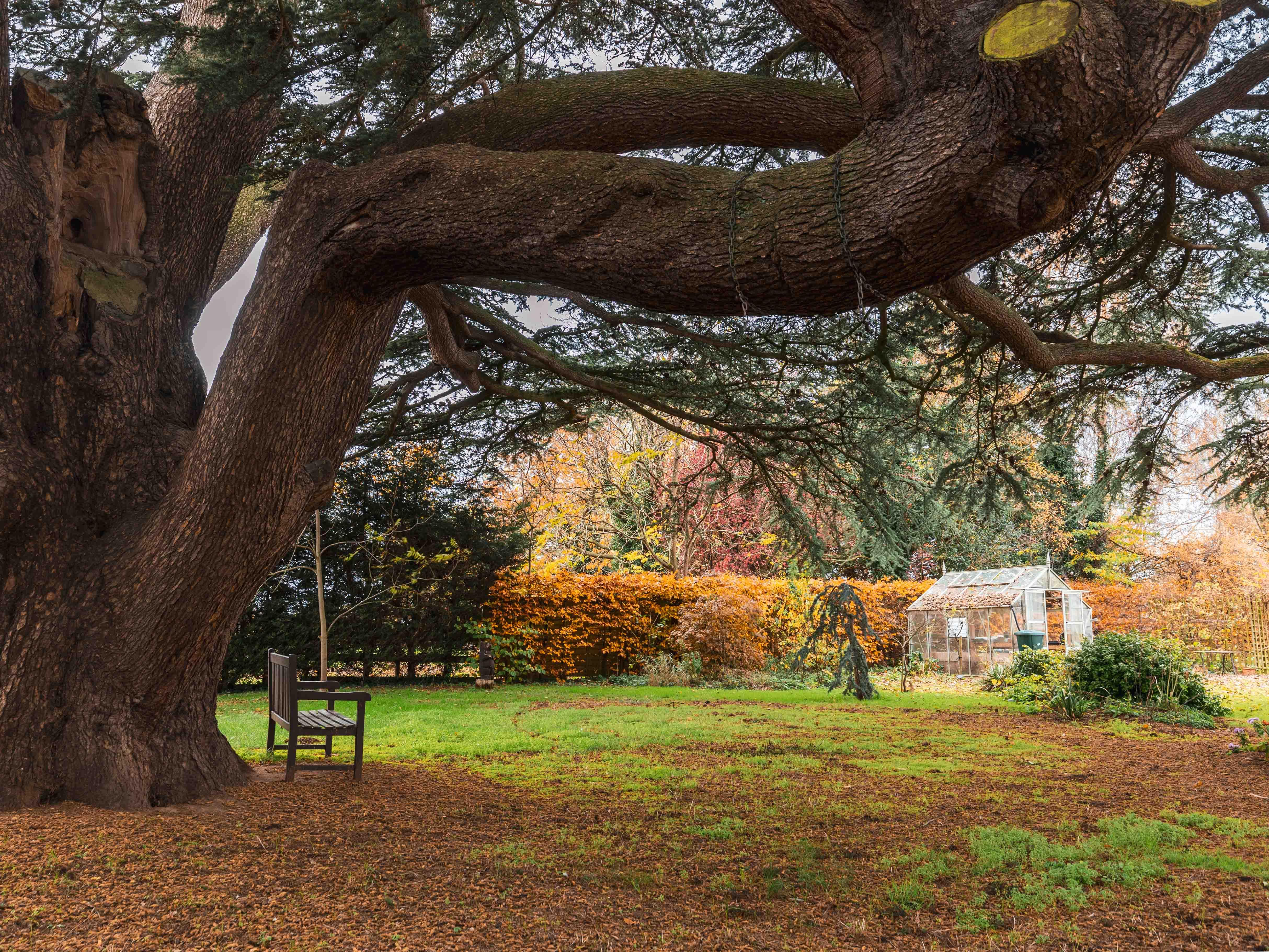 Ross Court Care Home Gallery