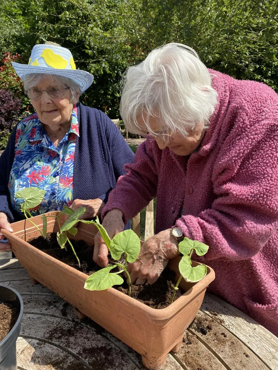 Gardening Club