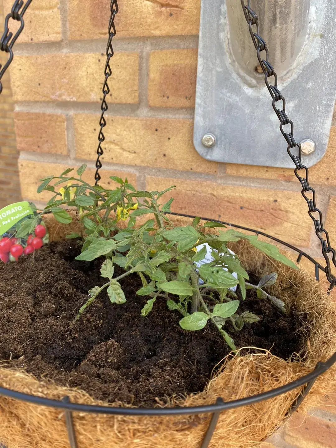 Gardening Club