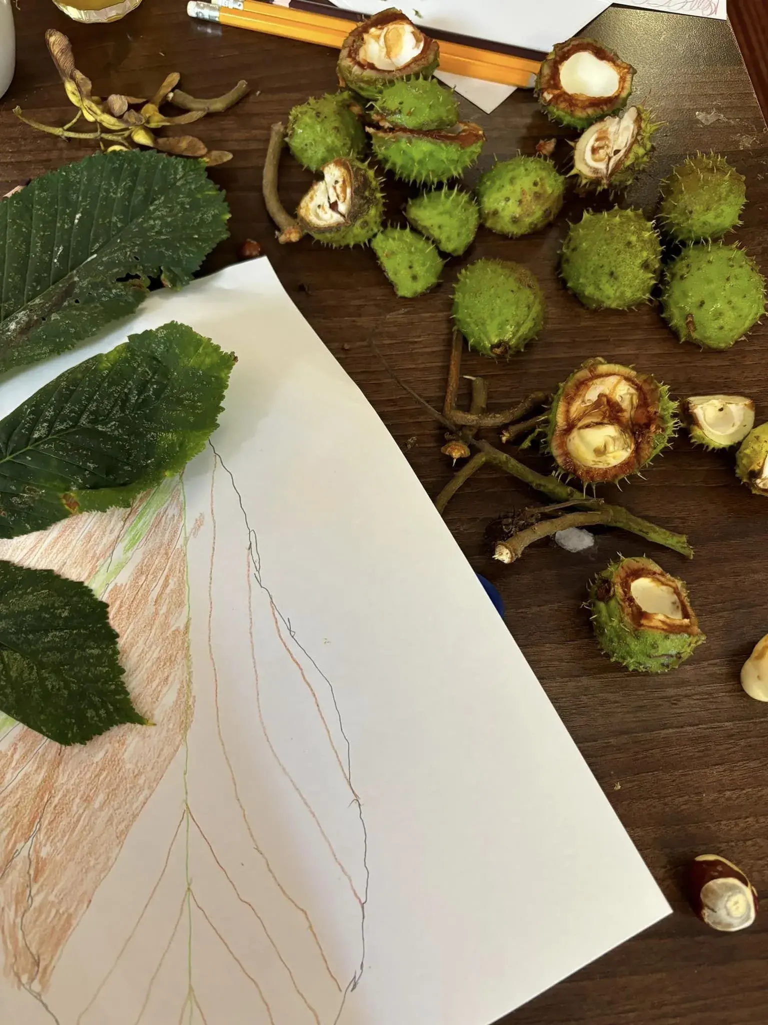 Exploring Nature Craft