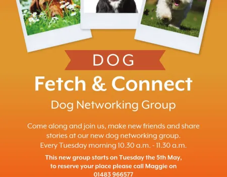 Fetch & Connect Dog Networking Group