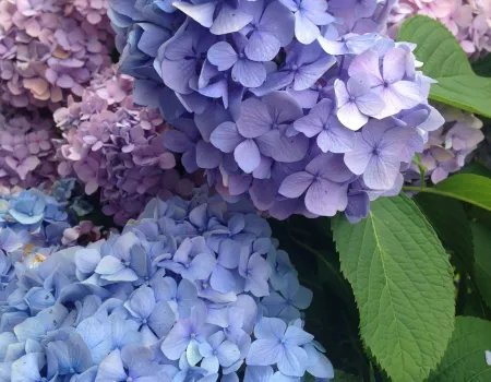 August