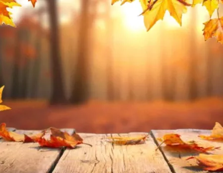 September