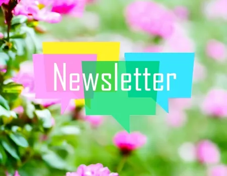 Summer Newsletter