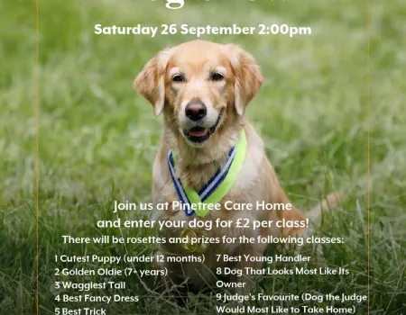 Dog Show