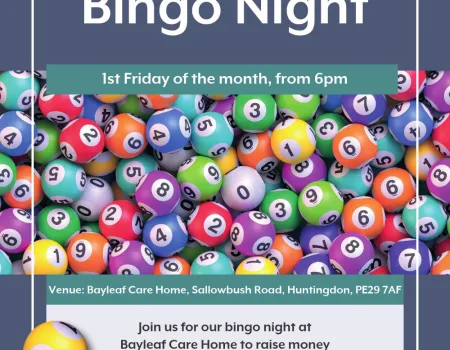 Bingo Night