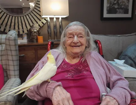 Poppy the Cockatiel