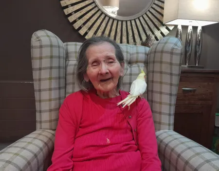 Poppy the Cockatiel