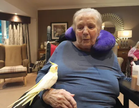 Poppy the Cockatiel