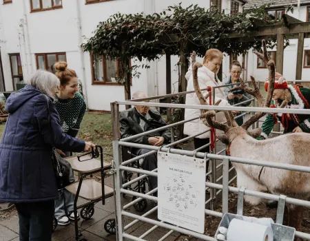 Festive Reindeer Visit