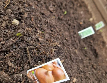 Gardening Club