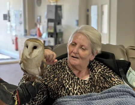 Meet the Owls