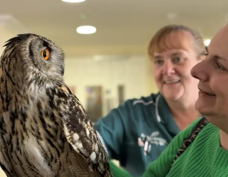 Meet the Owls