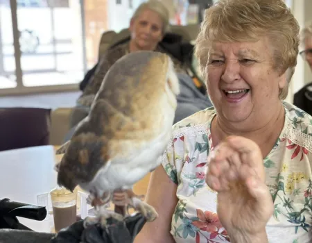 Meet the Owls