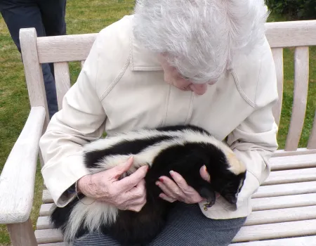 Animal visit