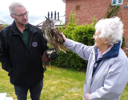 Animal visit