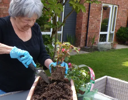 British Flower Week