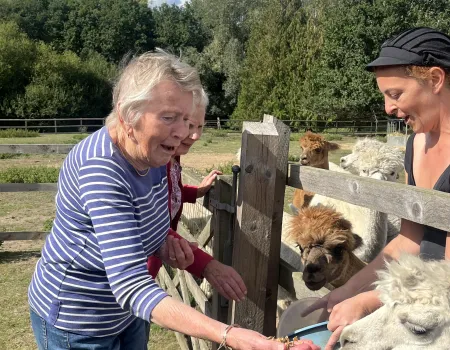 Fun at Blackbrook Farm 