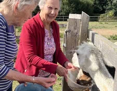 Fun at Blackbrook Farm 