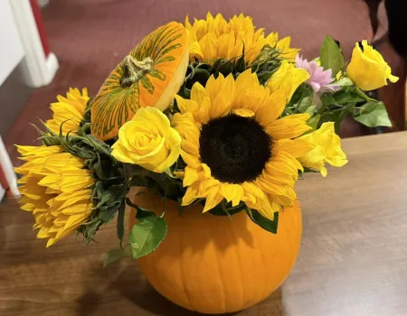 Harvest Joy at Kenwyn