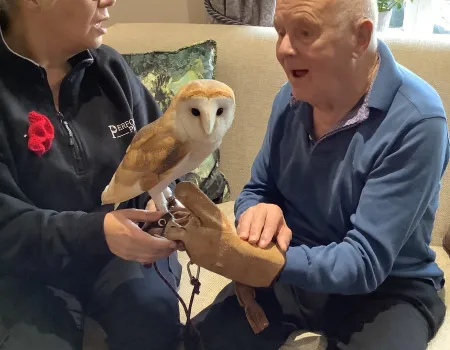 What a Hoot
