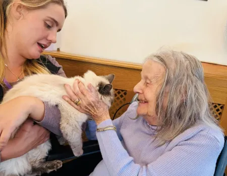 Pet Therapy