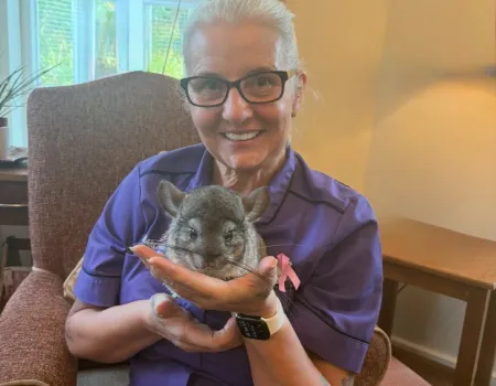 Pet Therapy