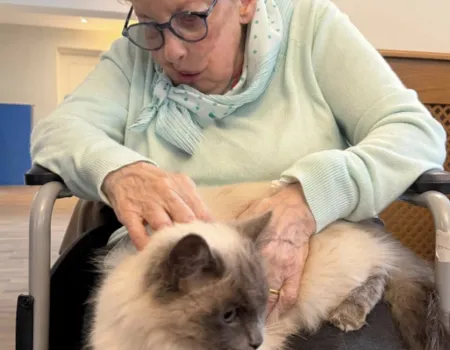 Pet Therapy