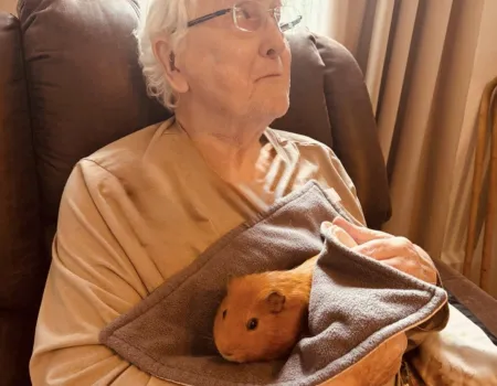 Pet Therapy