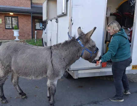 Edna the Donkey