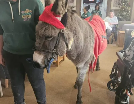 Edna the Donkey