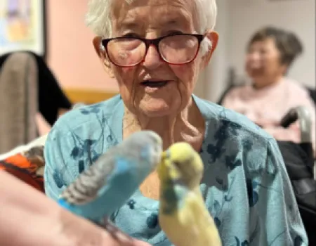 Performing Pets
