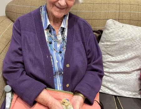 Animal Therapy 