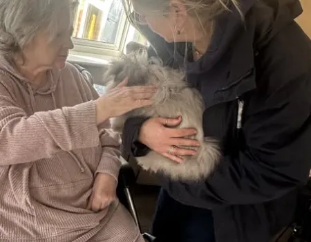 Animals visit residents