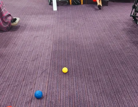 Boccia and bowling 