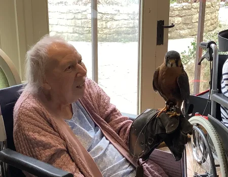 Walk with hawks