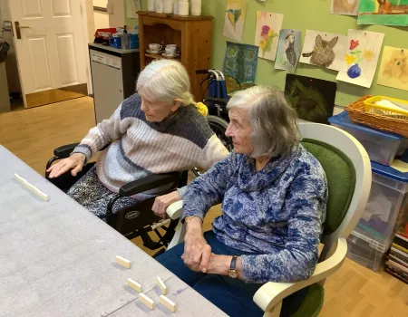 The dominoes club
