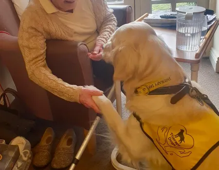  Paws, Pre-schoolers, and Portraits: A Wonderful Week at Brampton View!