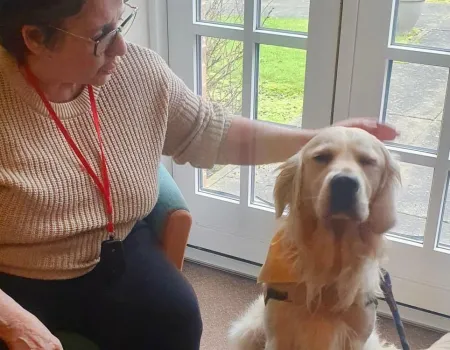  Paws, Pre-schoolers, and Portraits: A Wonderful Week at Brampton View!