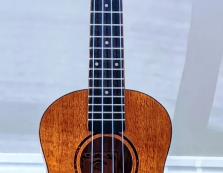 Ukes Aloud Brings Joy to the Home