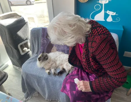 Cat Cafe Visit!