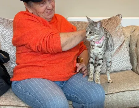 Cat Cuddles