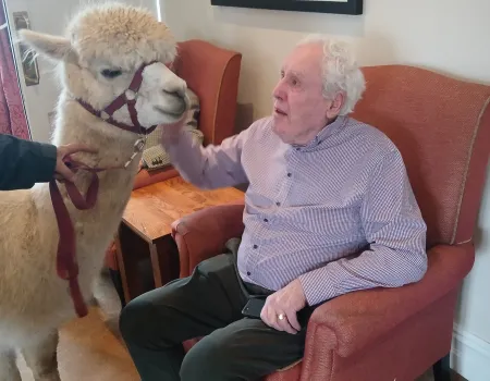 Alpaca visit 